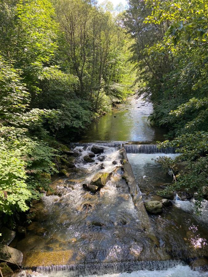 Green Apart Mountain Szczyrk Bratkow 10E Eksteriør bilde